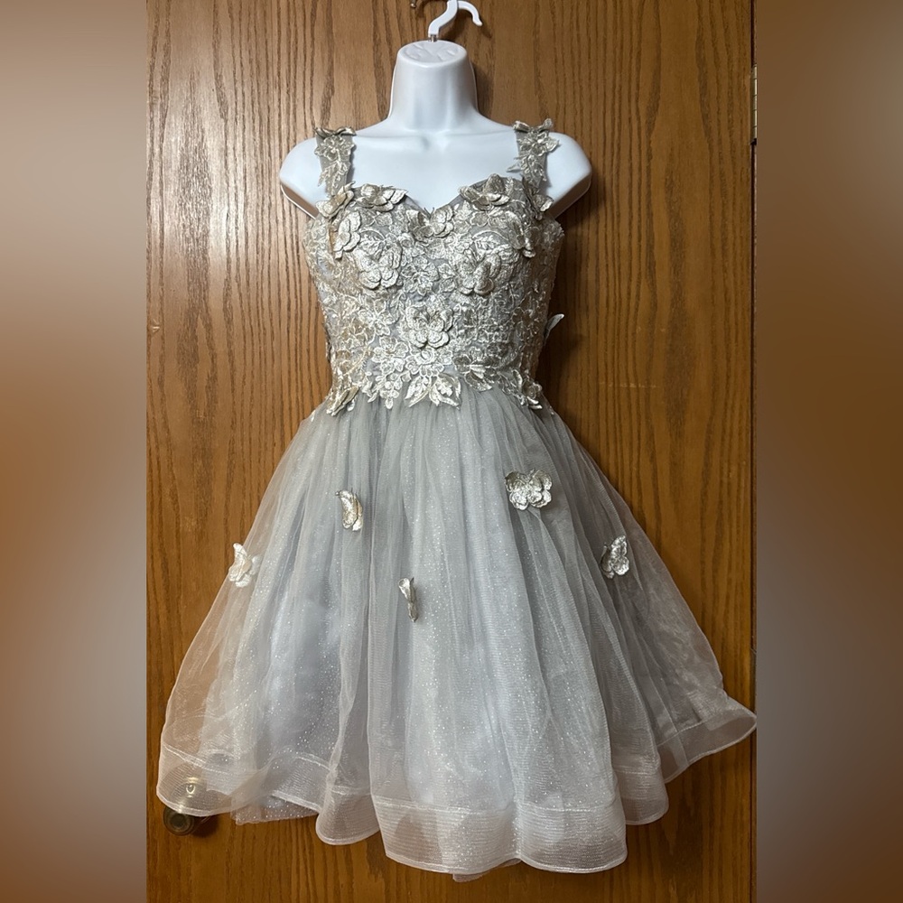 Silver butterfly tulle corset dress 6 fairycore princesscore balletcore coquette